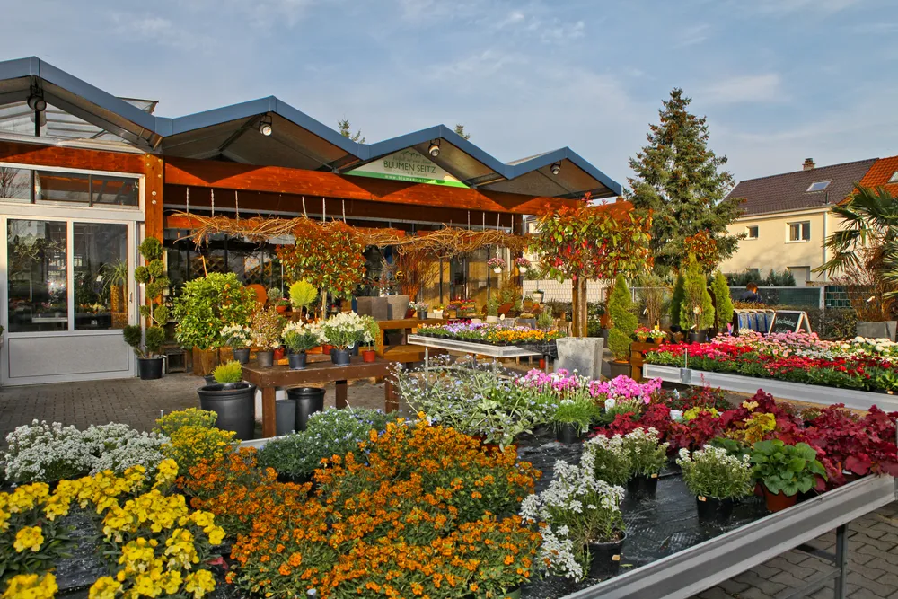 Gärtnerei Blumen Seitz mit Blumenbeeten im Vordergrund